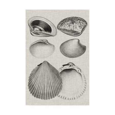 Vision Studio 'Charcoal & Linen Shells IX' Canvas Art,12x19
